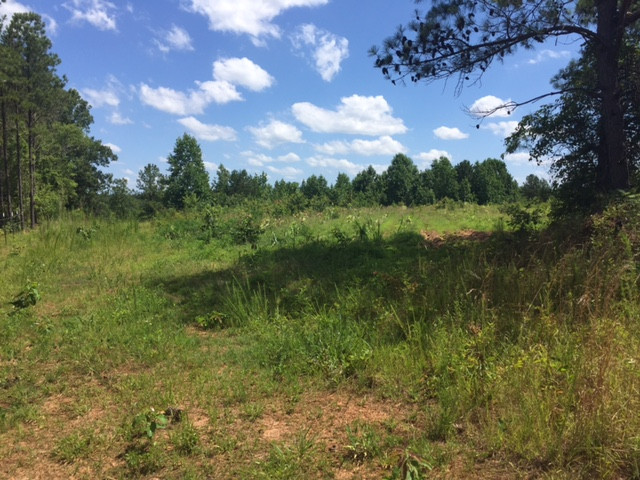 County Road 691, Roanoke, AL 36274