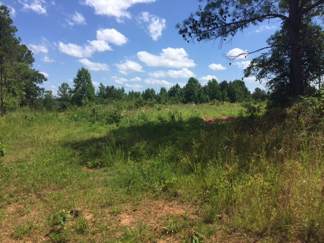 County Road 691, Roanoke, AL 36274