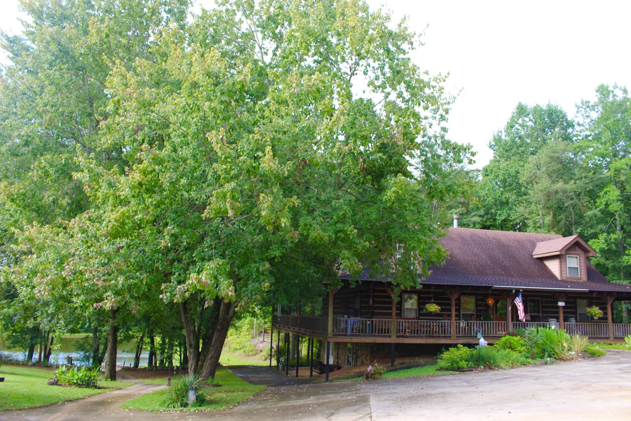 12394 Co Rd 65, Roanoke, AL 36274