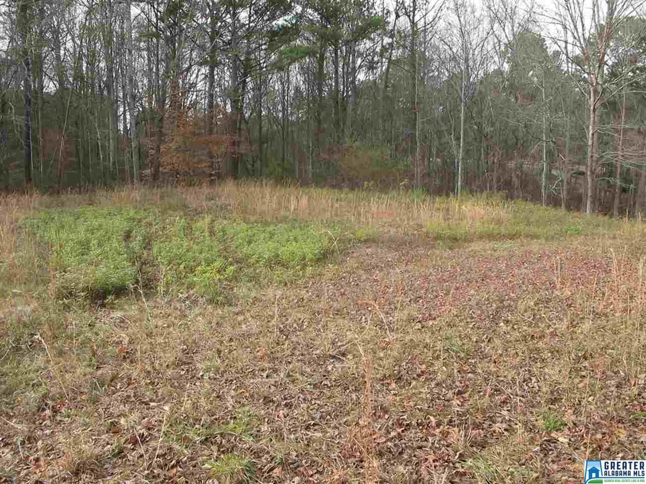 CO RD 1296, Wedowee, AL 36278