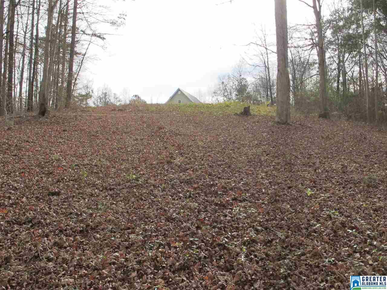 CO RD 1296, Wedowee, AL 36278