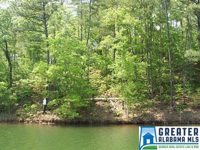SPRINGWATER COVE, Wedowee, AL 36278