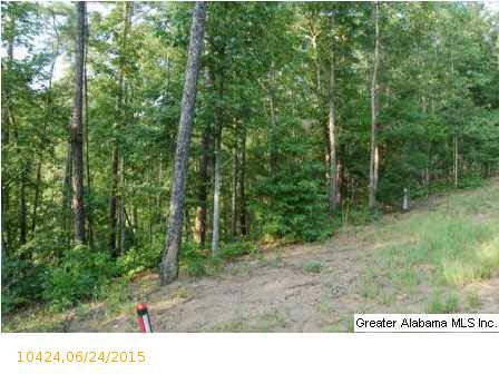 Lot 9 OAK LEAF DR, Wedowee, AL 36278