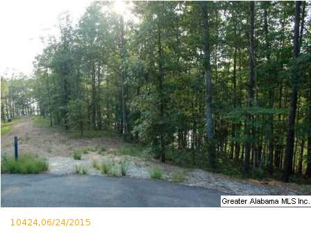 Lot 9 OAK LEAF DR, Wedowee, AL 36278