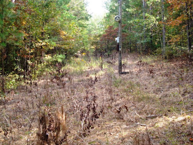 Lot 7 Pineywood Sub-div., Wedowee, AL 36278