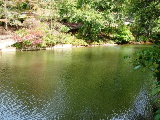 Lot 7 Pineywood Sub-div., Wedowee, AL 36278