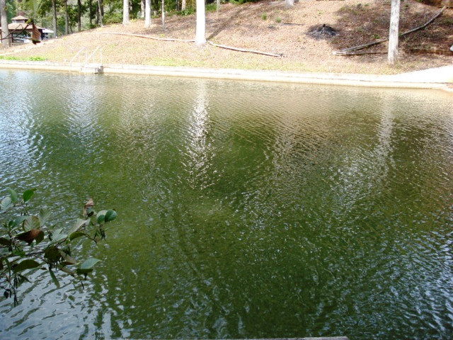 Lot 7 Pineywood Sub-div., Wedowee, AL 36278