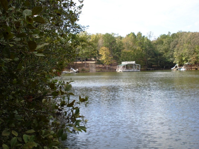 Lot 7 Pineywood Sub-div., Wedowee, AL 36278
