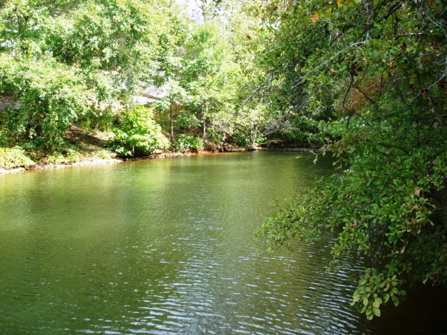 Lot 7 Pineywood Sub-div., Wedowee, AL 36278