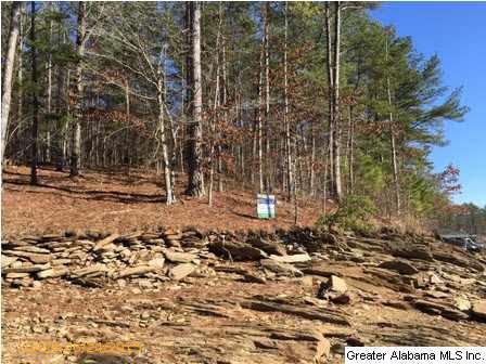 CO RD 2404, Wedowee, AL 36278