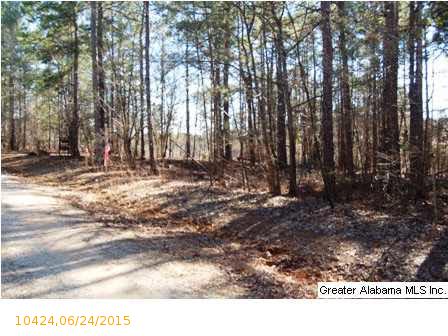 CO RD 2404, Wedowee, AL 36278