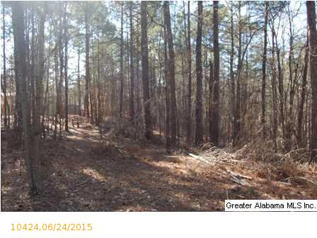 CO RD 2404, Wedowee, AL 36278