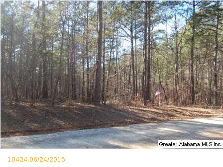 CO RD 2404, Wedowee, AL 36278
