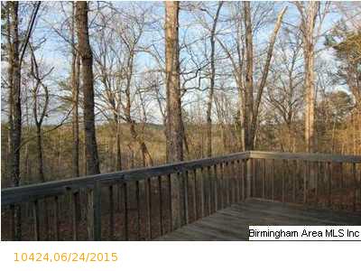 48 POINT SOUTH DR, Wedowee, AL 36278