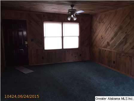 48 POINT SOUTH DR, Wedowee, AL 36278