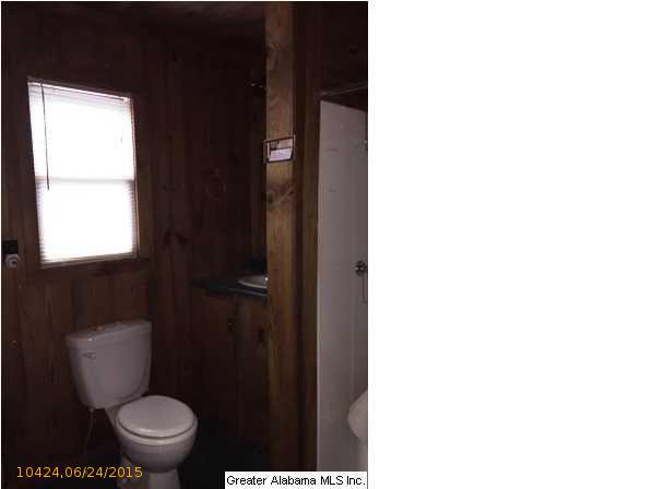 48 POINT SOUTH DR, Wedowee, AL 36278