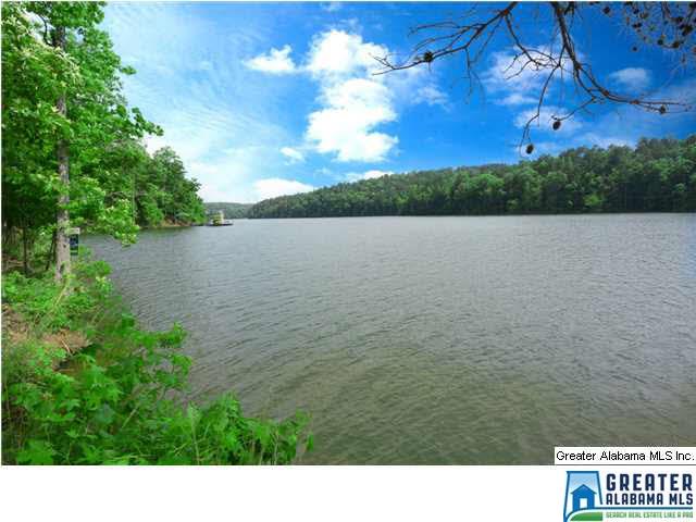 6 MOUNTAIN BROOK DR, Wedowee, AL 36278