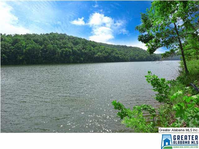 6 MOUNTAIN BROOK DR, Wedowee, AL 36278