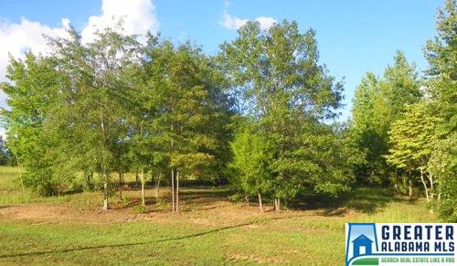 3490 CO RD 7, Wedowee, AL 36278