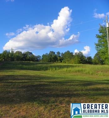 3490 CO RD 7, Wedowee, AL 36278