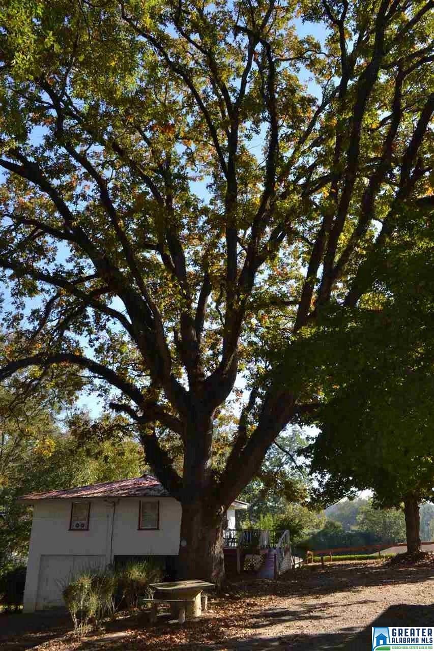 114 2ND ST, Wedowee, AL 36278