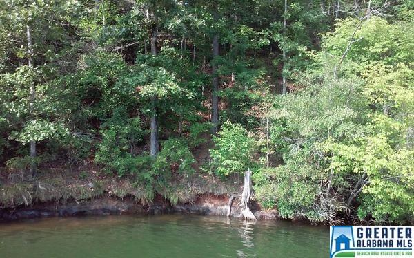 OLD HWY 431, Wedowee, AL 36278