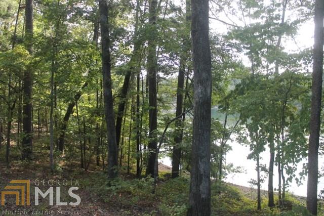 0 Turkey Ln, Wedowee, AL 36278