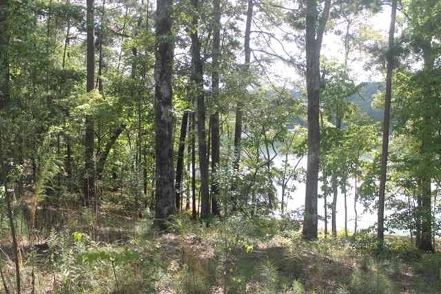 00 TURKEY LANE, Wedowee, AL 36278