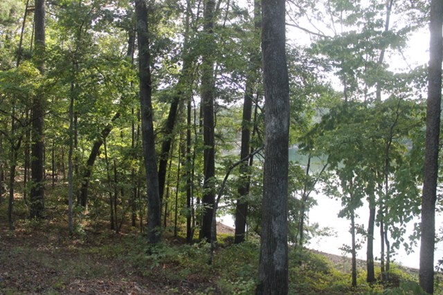 00 TURKEY LANE, Wedowee, AL 36278