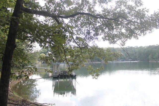 00 TURKEY LANE, Wedowee, AL 36278