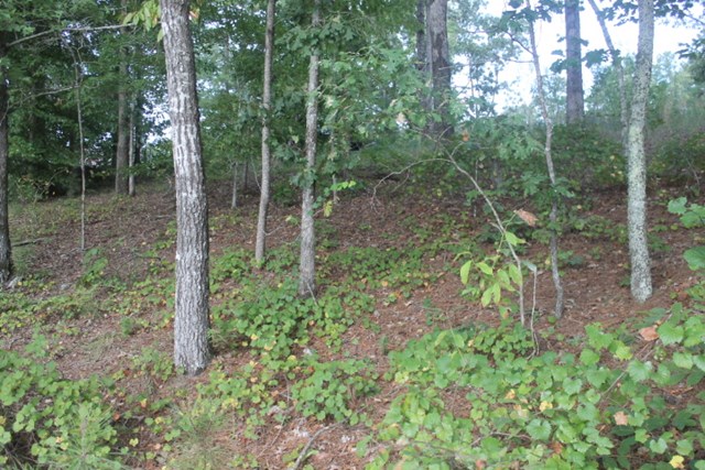 00 TURKEY LANE, Wedowee, AL 36278