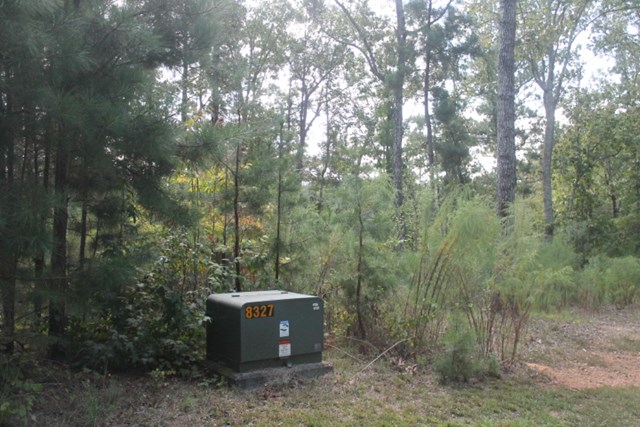 00 TURKEY LANE, Wedowee, AL 36278