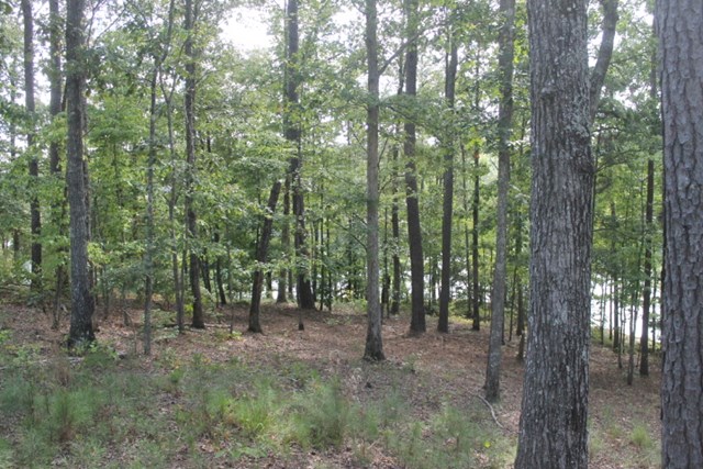 00 TURKEY LANE, Wedowee, AL 36278