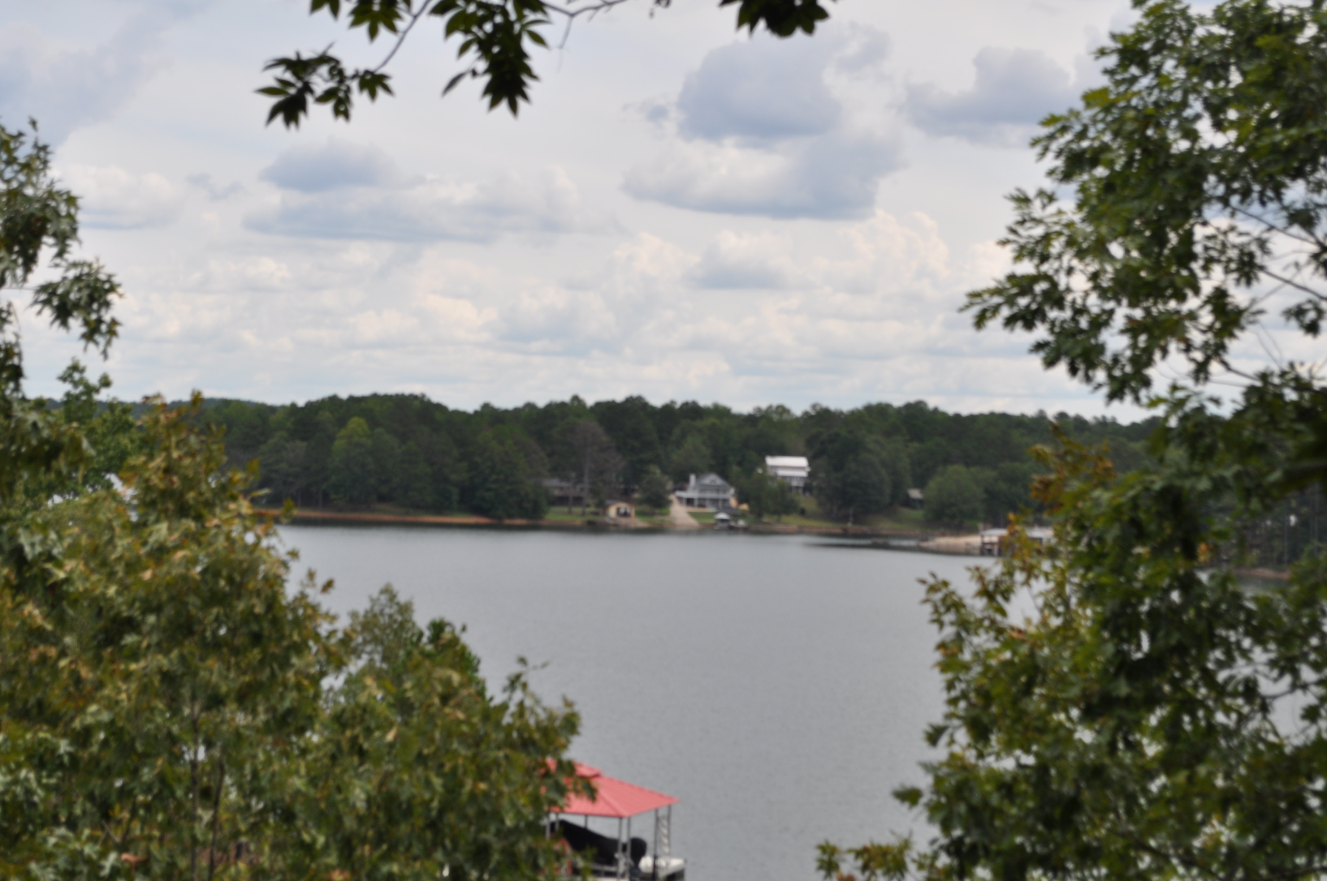 165 Morrison Point Drive, Wedowee, AL 36278