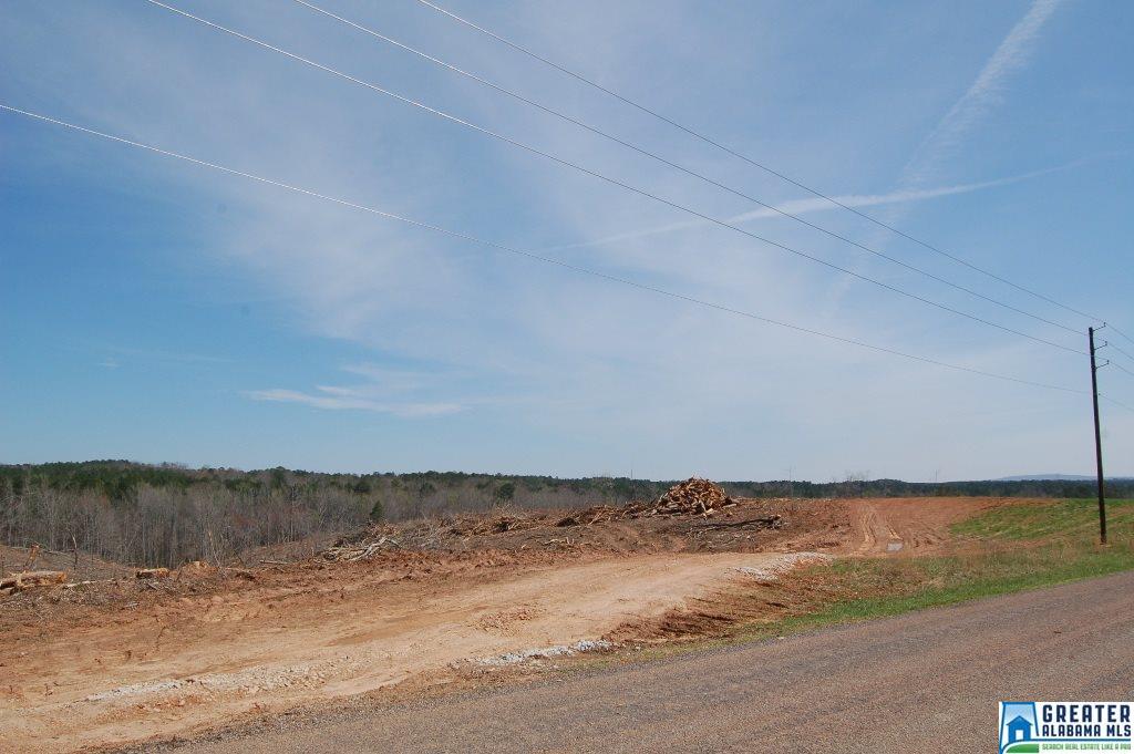 CO RD 92, Newell, AL 36280