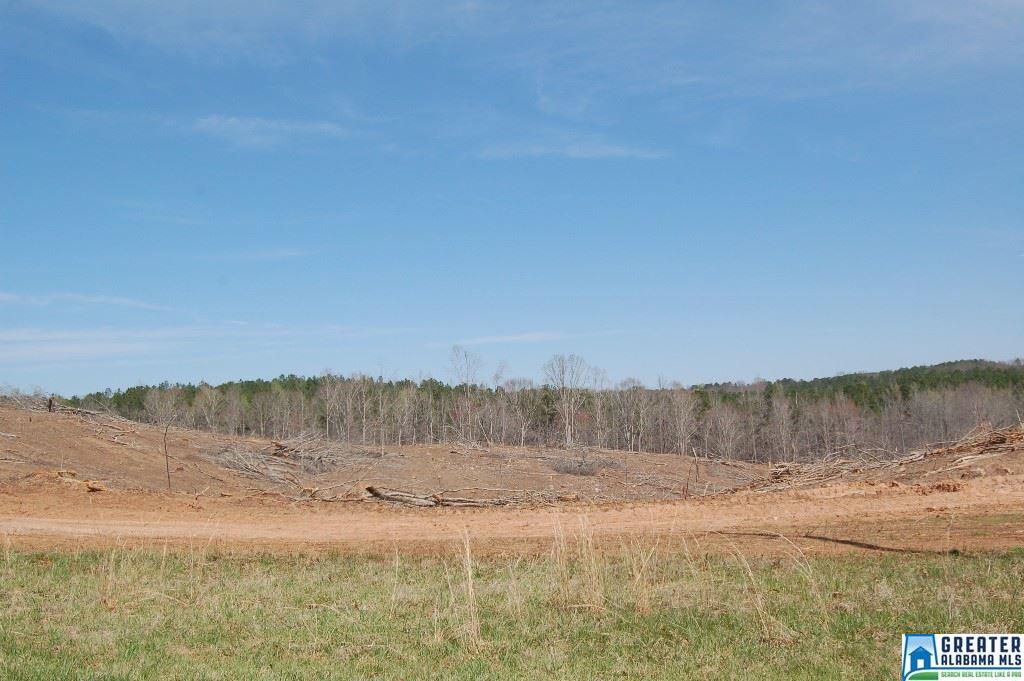 CO RD 92, Newell, AL 36280