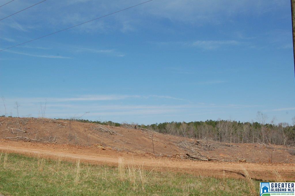 CO RD 92, Newell, AL 36280