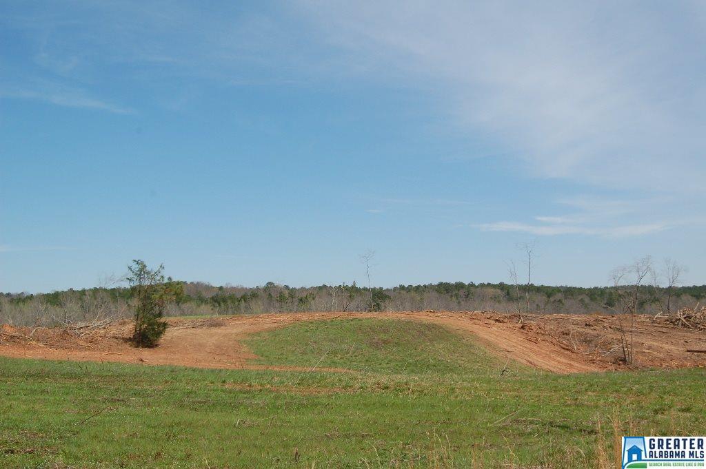 CO RD 92, Newell, AL 36280