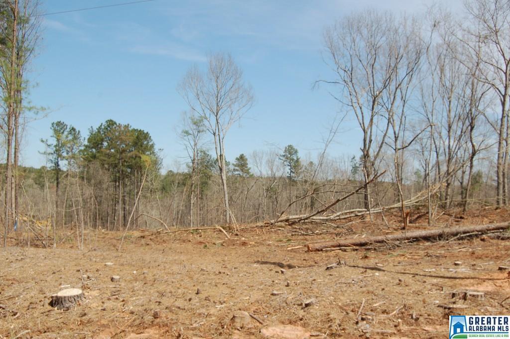 CO RD 92, Newell, AL 36280
