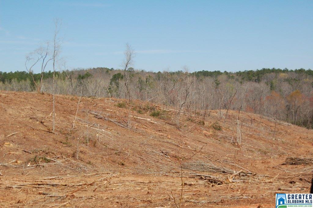 CO RD 92, Newell, AL 36280