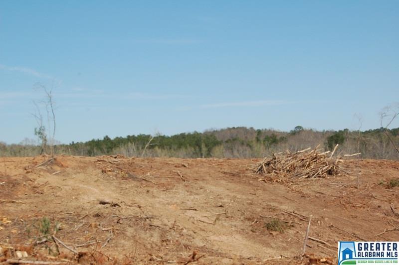 CO RD 92, Newell, AL 36280