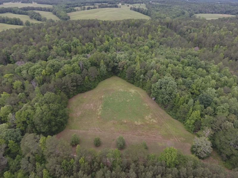County Road 511, 105 Acres, Woodland, AL 36280