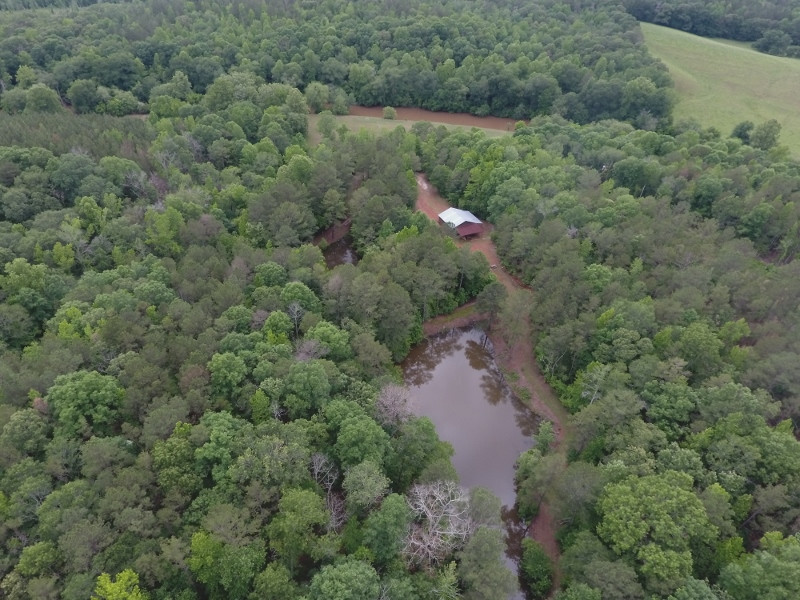 County Road 511, 105 Acres, Woodland, AL 36280