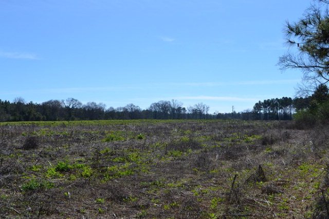 0 Omussee, Dothan, AL 36303