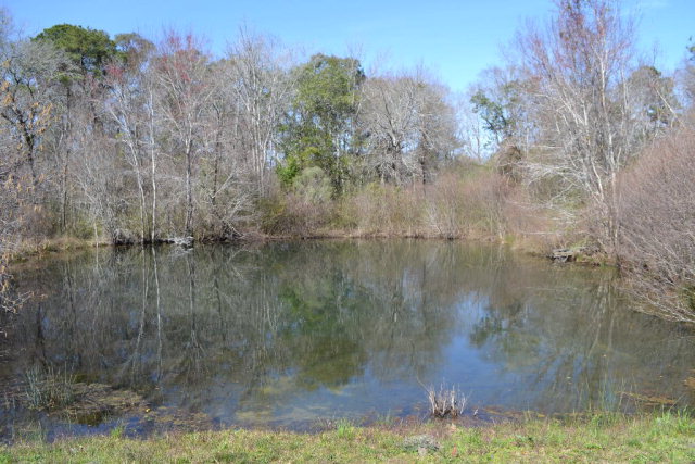 0 Omussee, Dothan, AL 36303