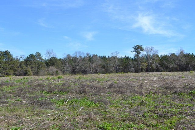 0 Omussee, Dothan, AL 36303
