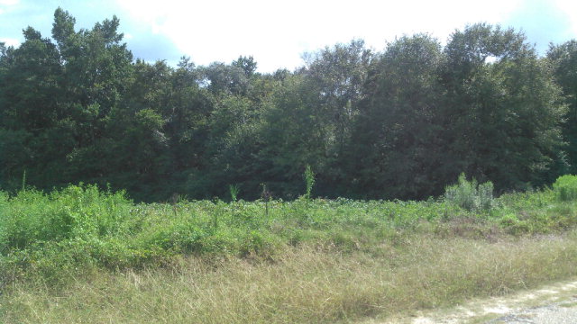 Lot # 5 JW Rich Rd, Kinsey, AL 36303