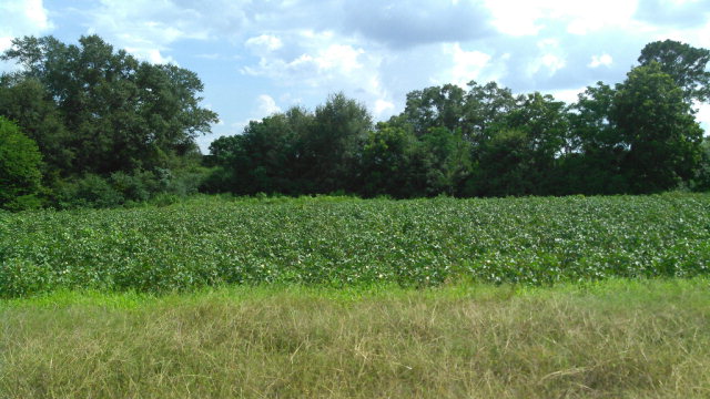 Lot # 3 JW Rich Rd, Kinsey, AL 36303