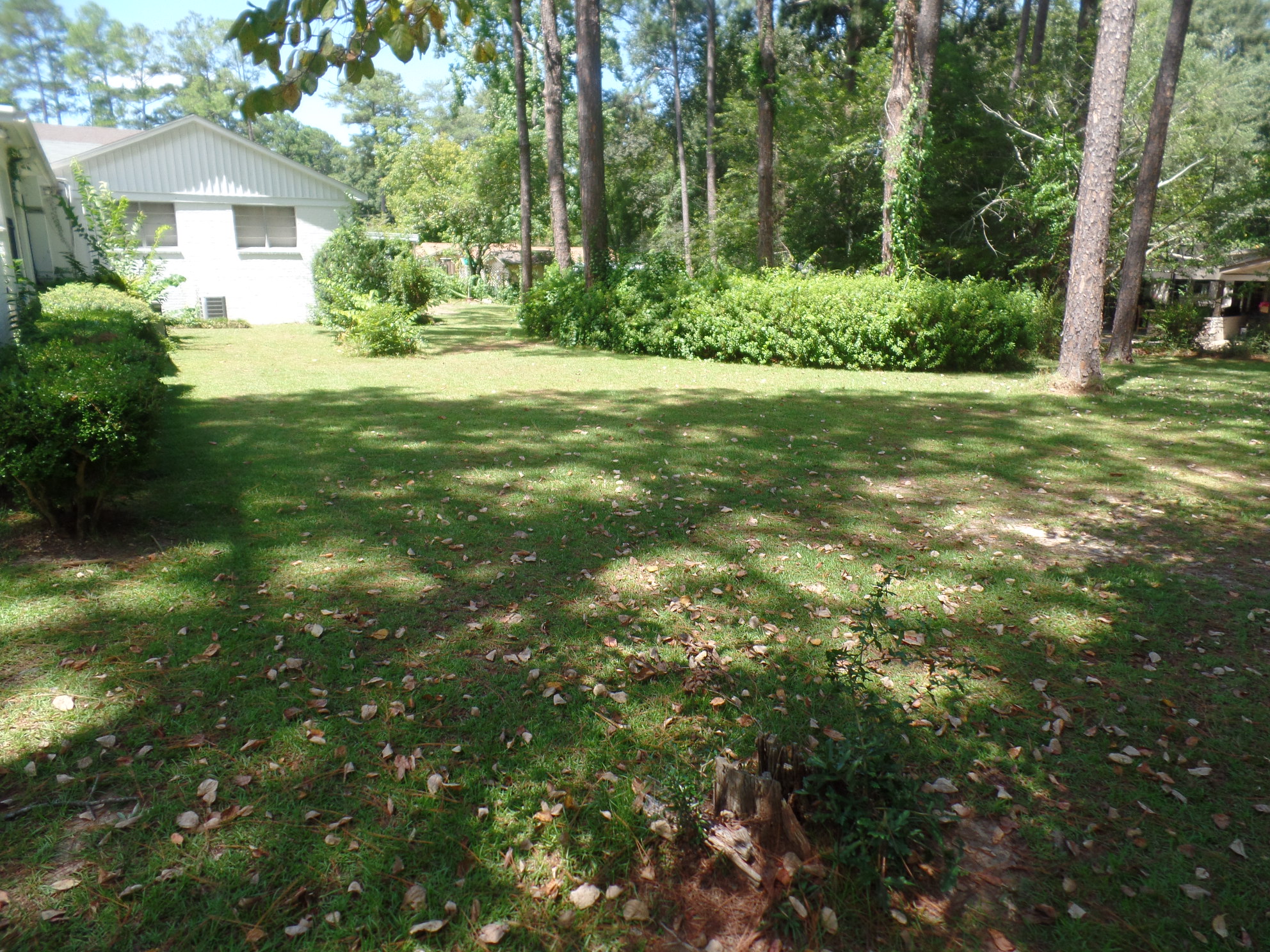 200 Beechnut, Dothan, AL 36303