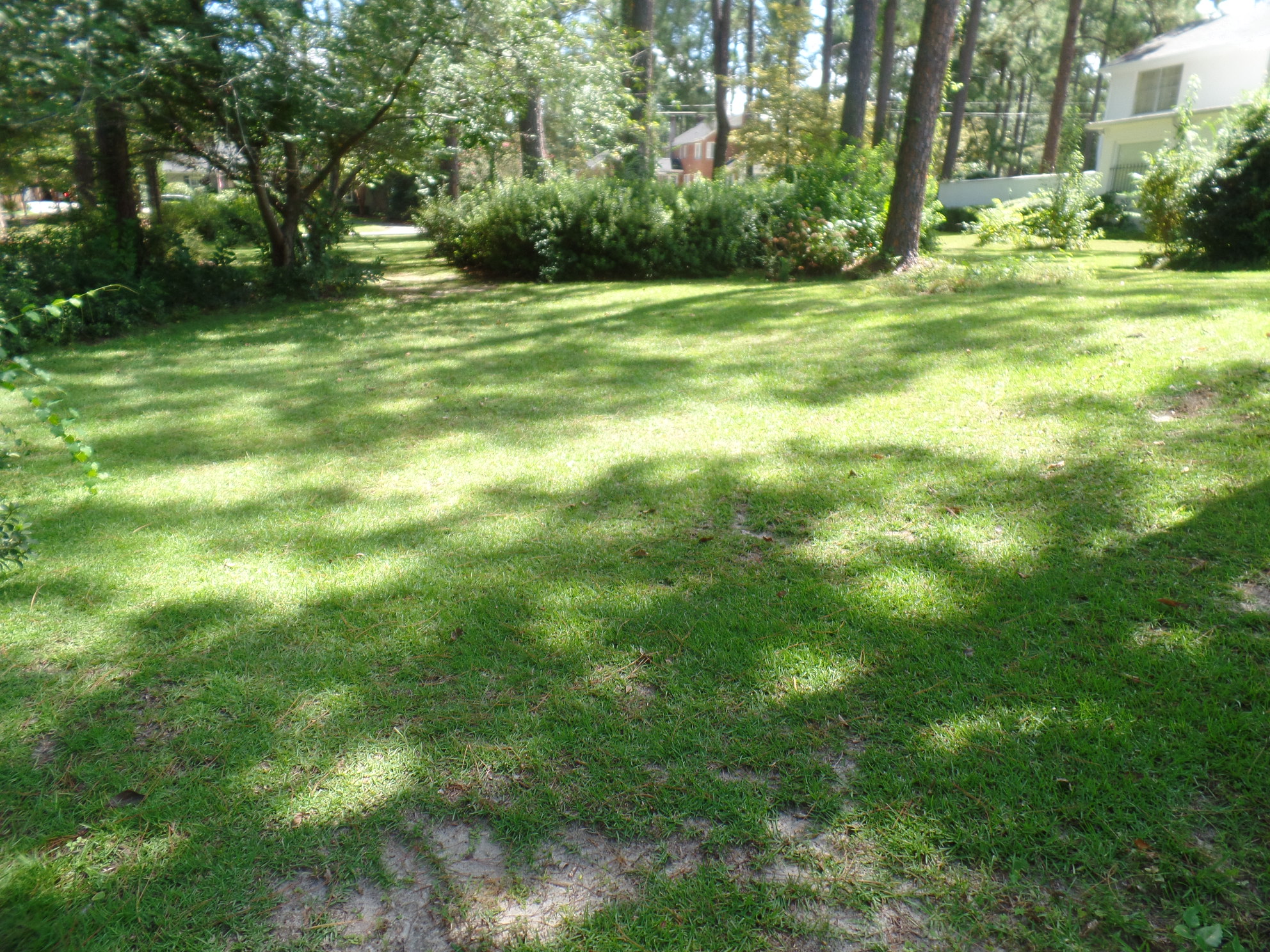 200 Beechnut, Dothan, AL 36303